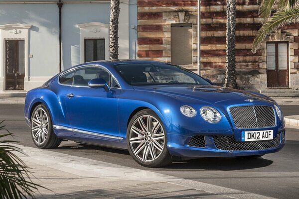 Niebieski Bentley Continental Na zewnątrz z palmami