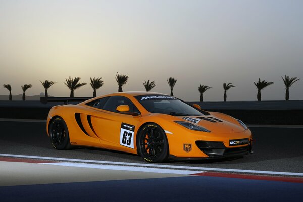 Sports car on the beach against the background of palm trees