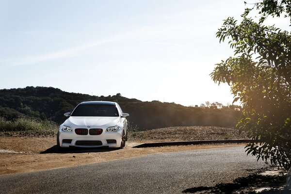 BMW blanco y teñido en el lado de la carretera
