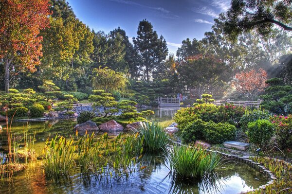 This picture shows all the natural beauty of Japan