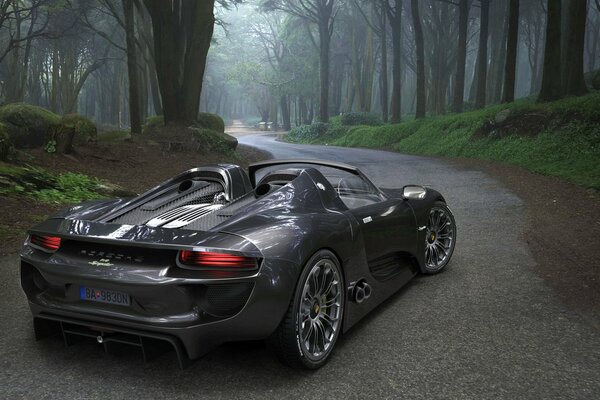 Coche porsche en el camino forestal