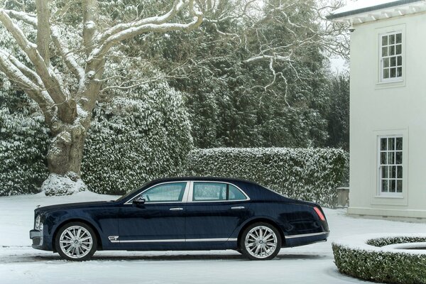 Granatowy Bentley na tle śnieżnych drzew