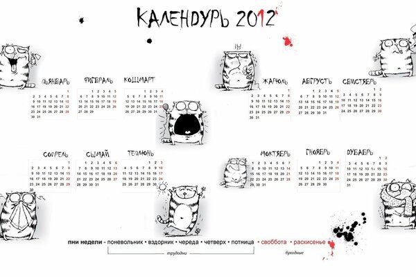 Neuer Wandkalender 2012 mit Katzen