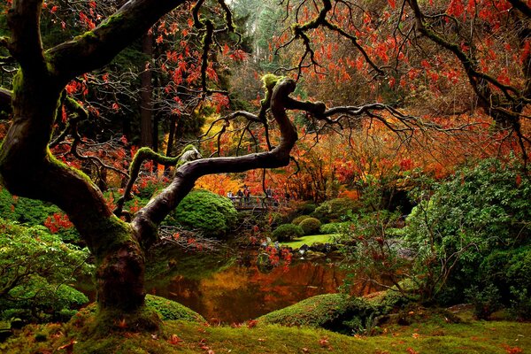 Японский сад с людьми осенью