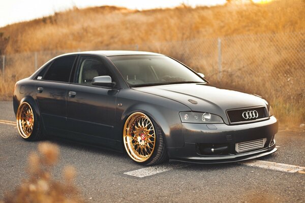 Dark car with golden disks on the background of nature