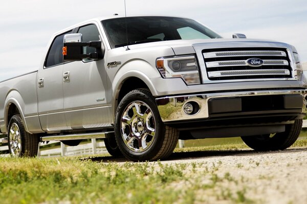 Grauer Ford f150 Pickup Seitenansicht vorn