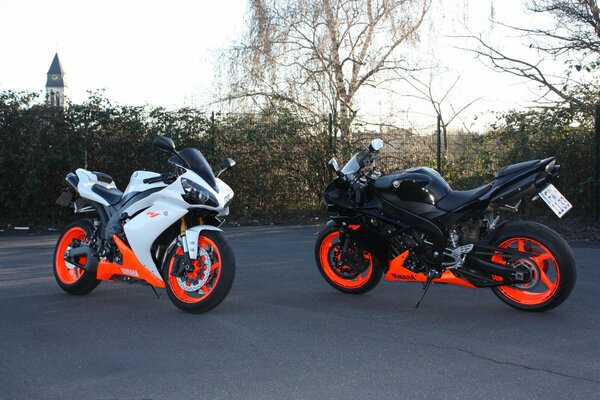 Noir et blanc Yamaha motos avec des bouleaux