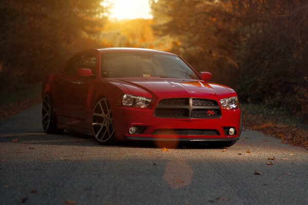 Red car on the background of the forest at sunset