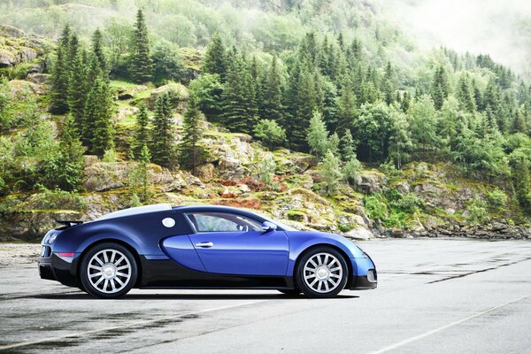 Photo d une voiture de course dans la nature