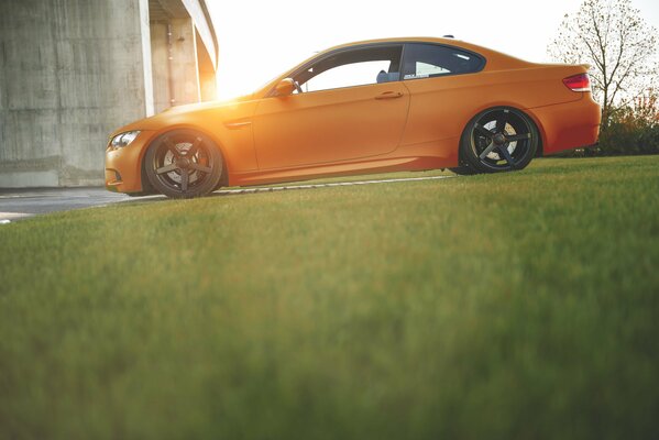 Orange BMW in der Nähe von Rasen in der Sonne