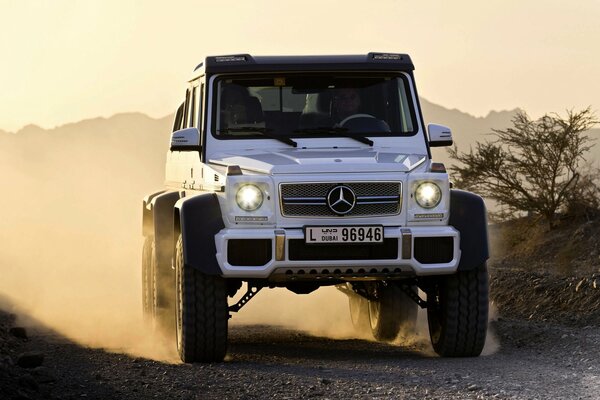 Mercedes SUV blanc avec d énormes roues