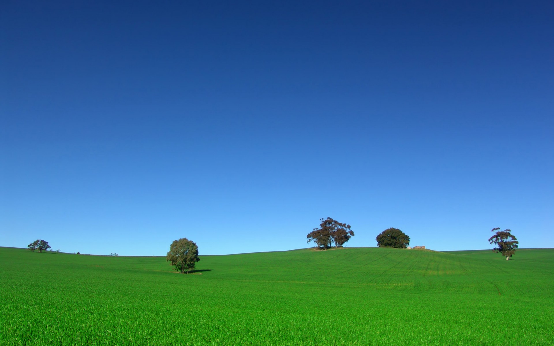 campo árboles cielo