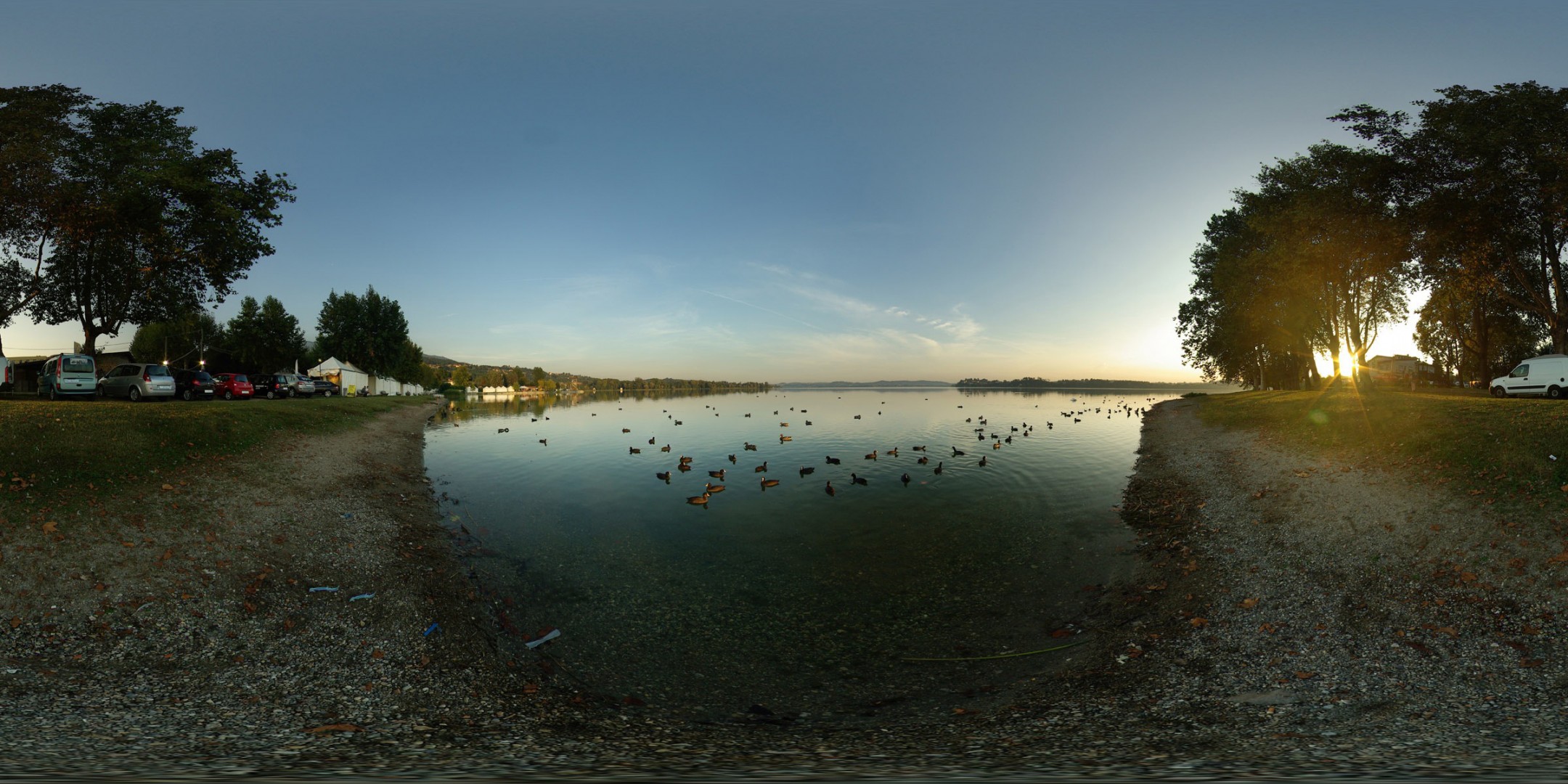 lago patos coches árboles