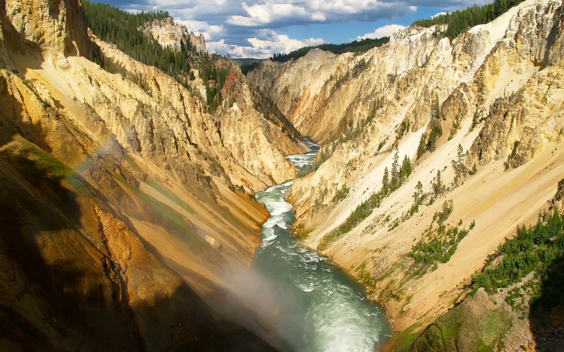 canyon rivière arbres