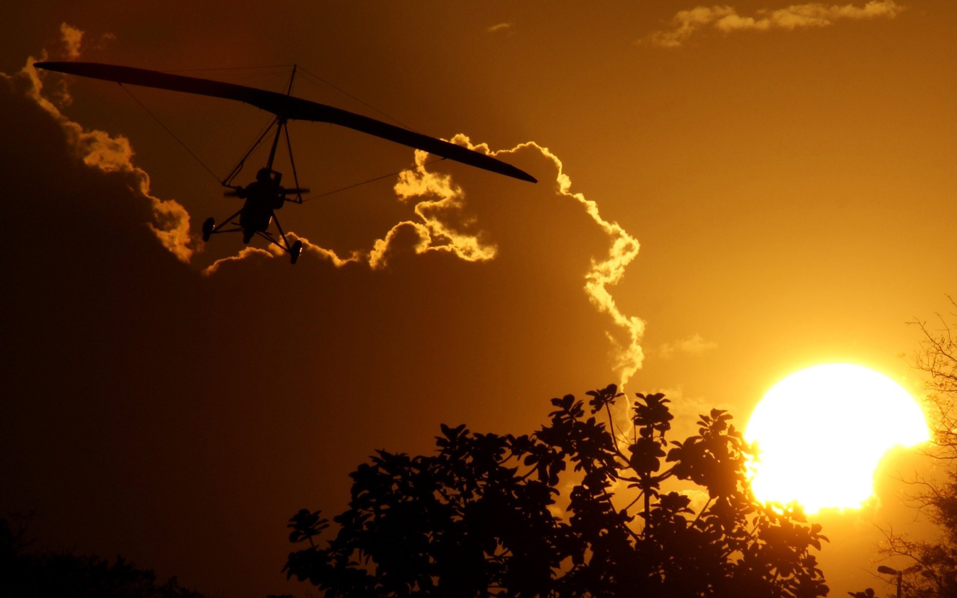 avion ciel soleil nuages arbres coucher de soleil