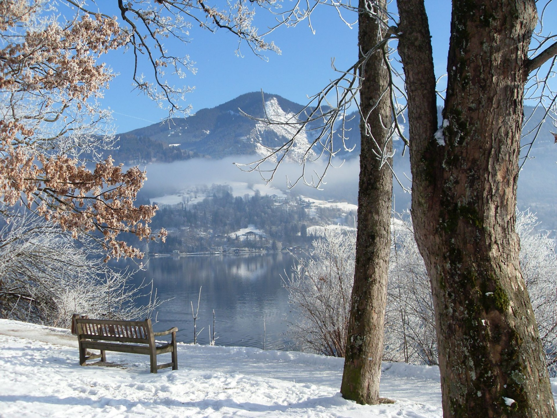 inverno fiume alberi panchina