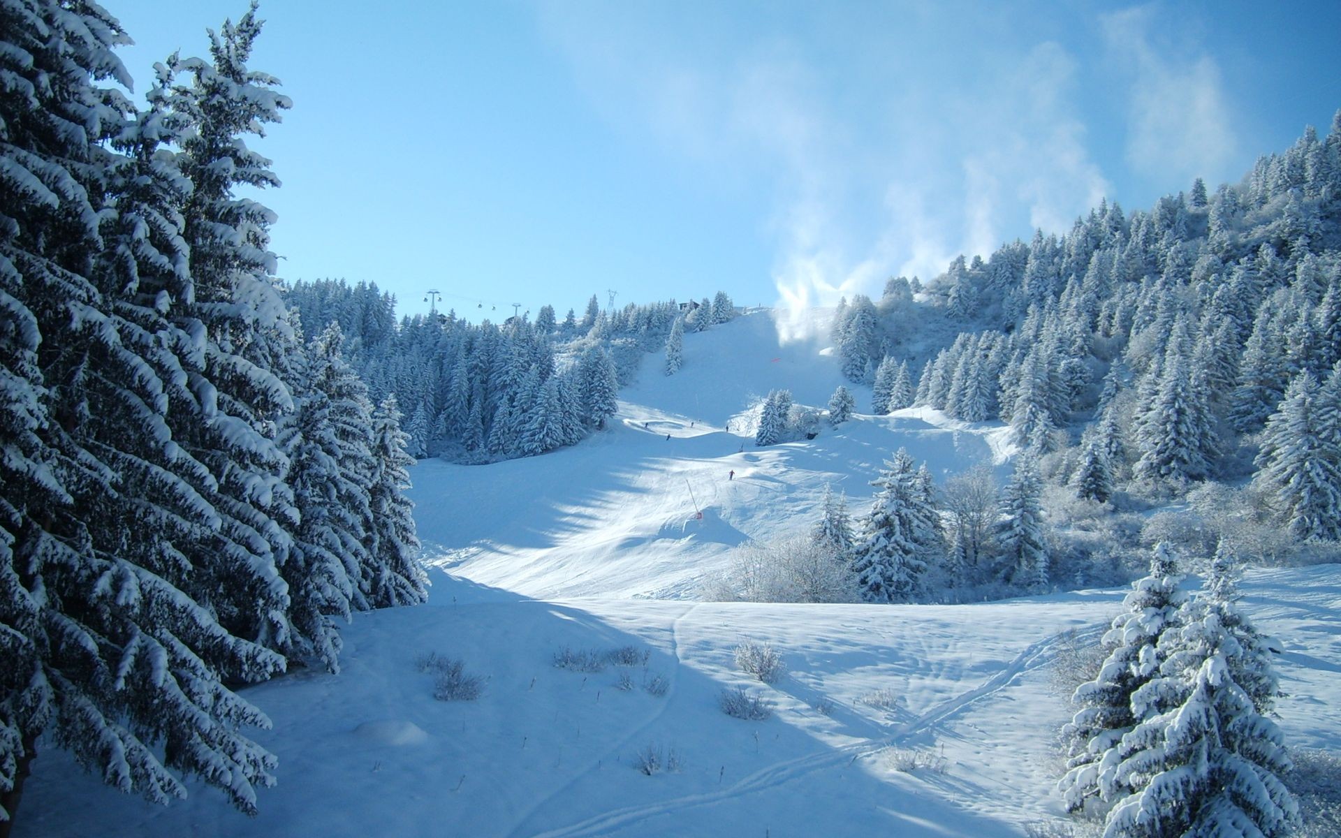 hiver neige sapins