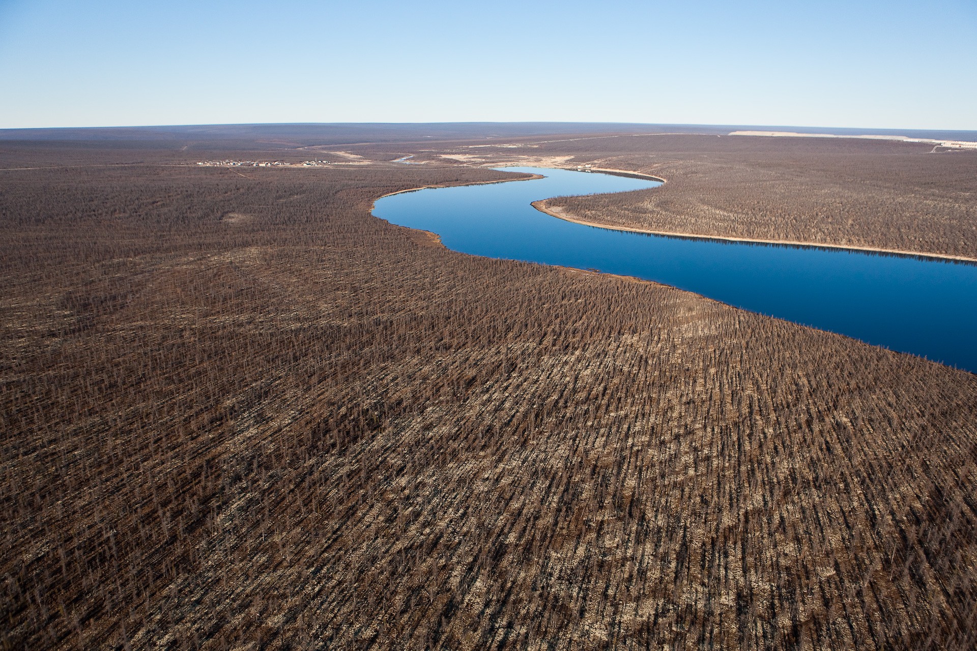 rivière forêt altitude