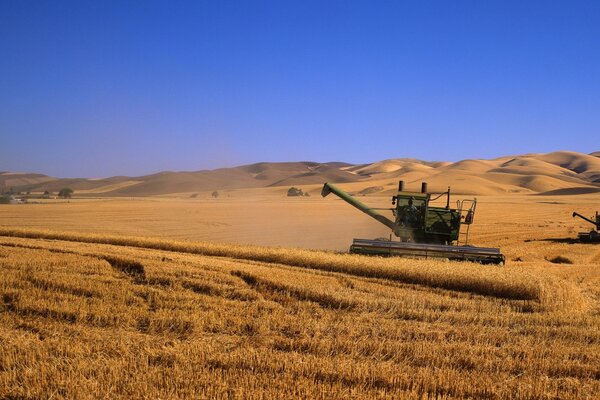 Kombain harvests on the field