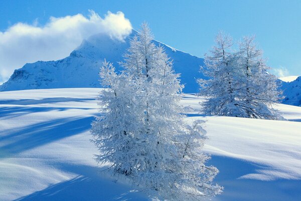 Paesaggio invernale di montagne innevate
