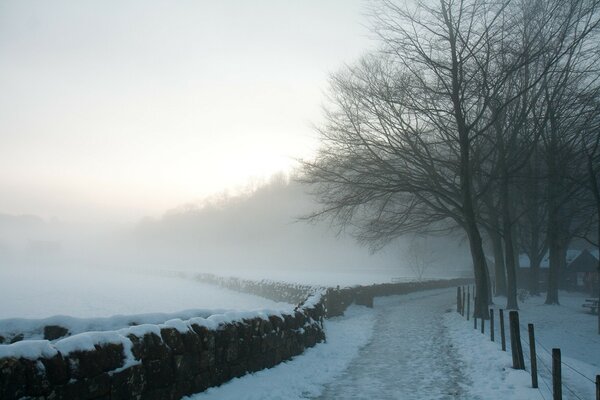 Winter snow on the road