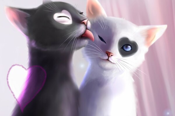 L amour des chats blancs et noirs