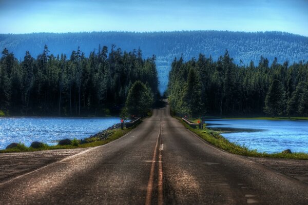 Camino a través del lago hacia el bosque