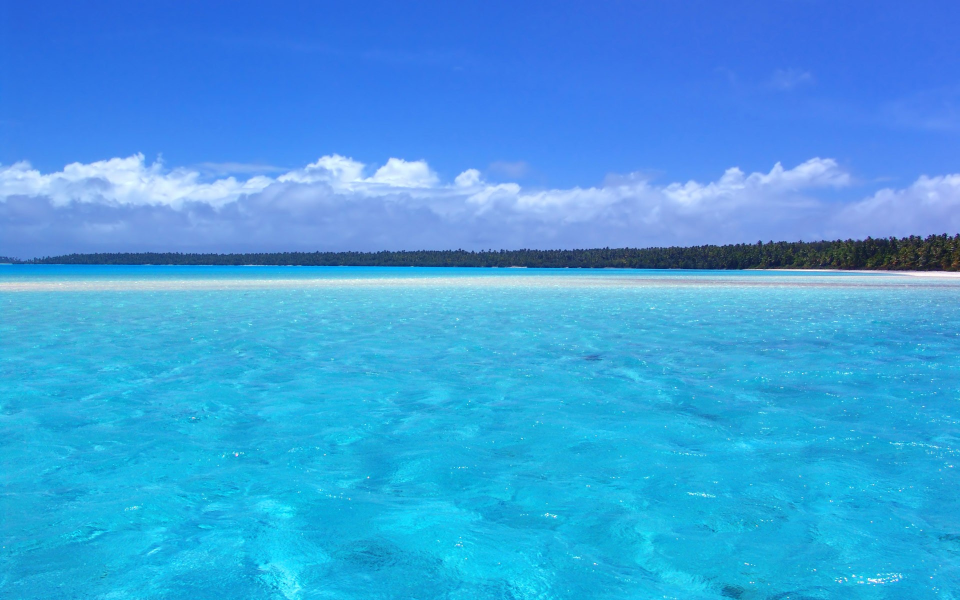 nature beach relax on the