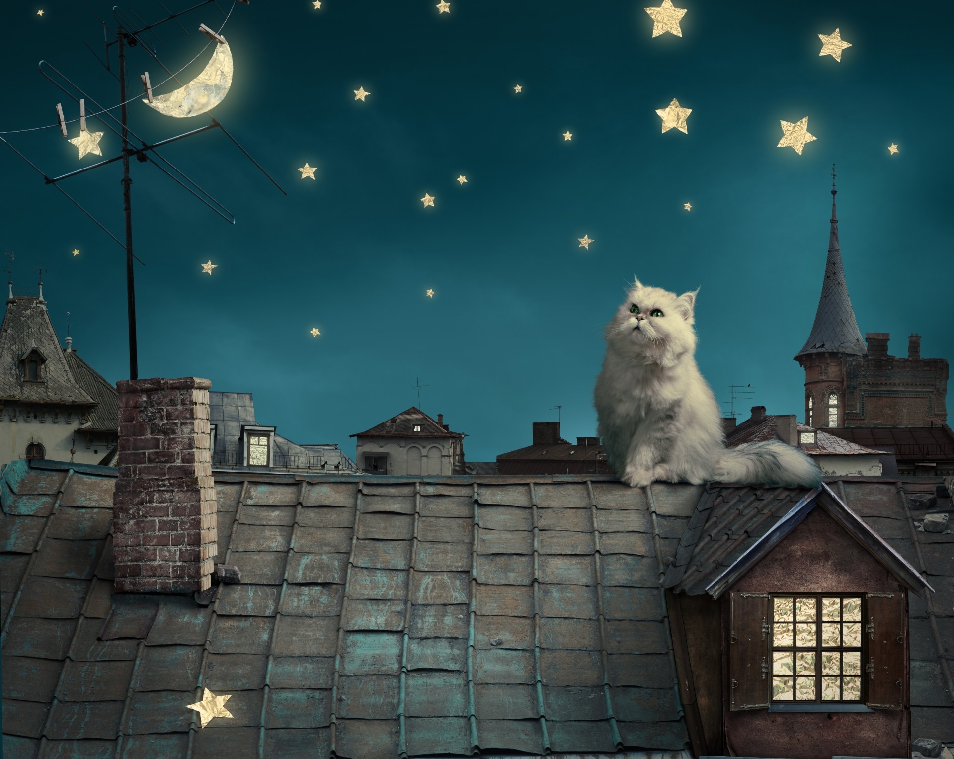 gatto notte persiano gatto bianco tetto fiaba cielo fantasia luna casa