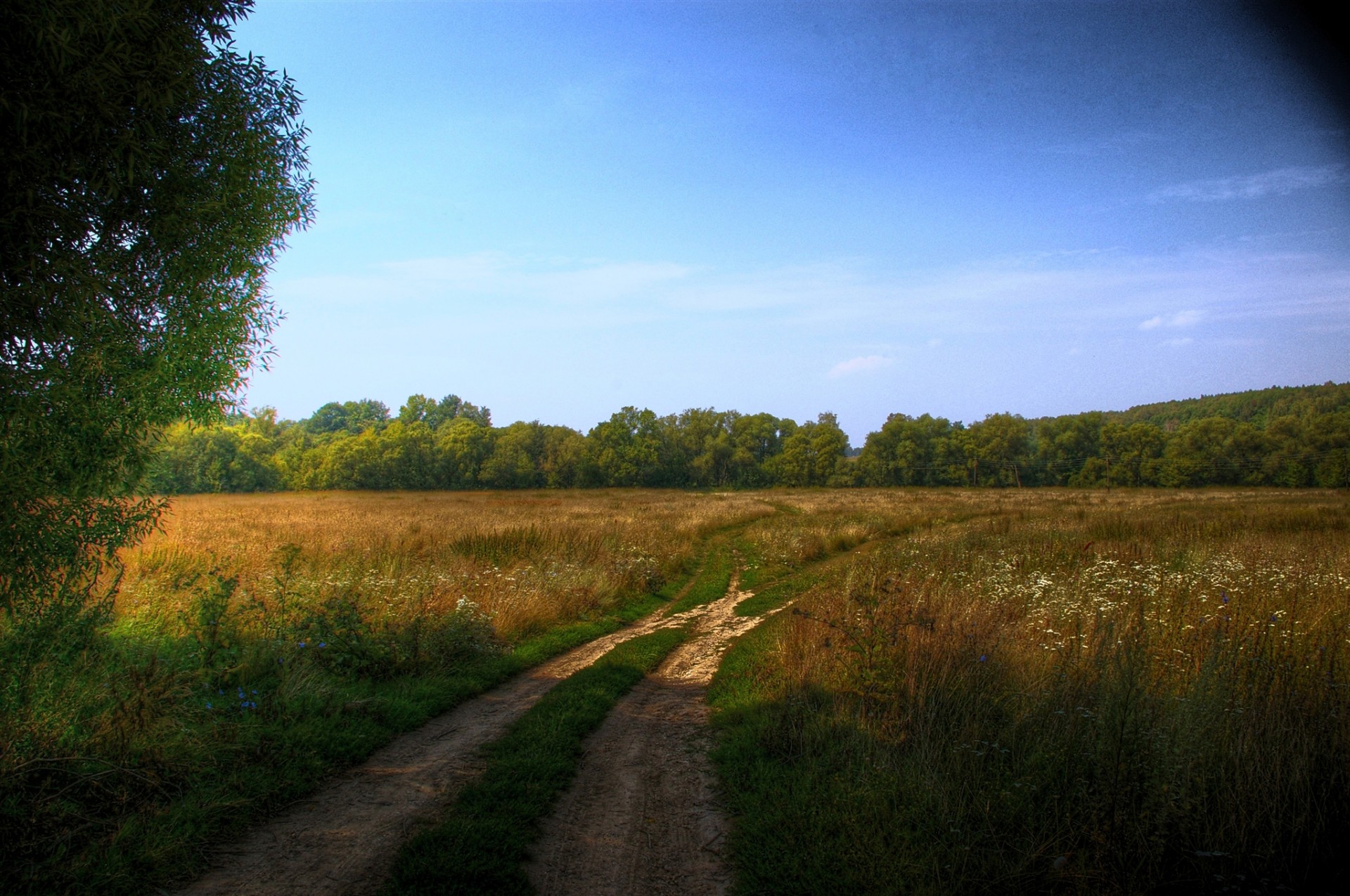 carretera paisaje hdr