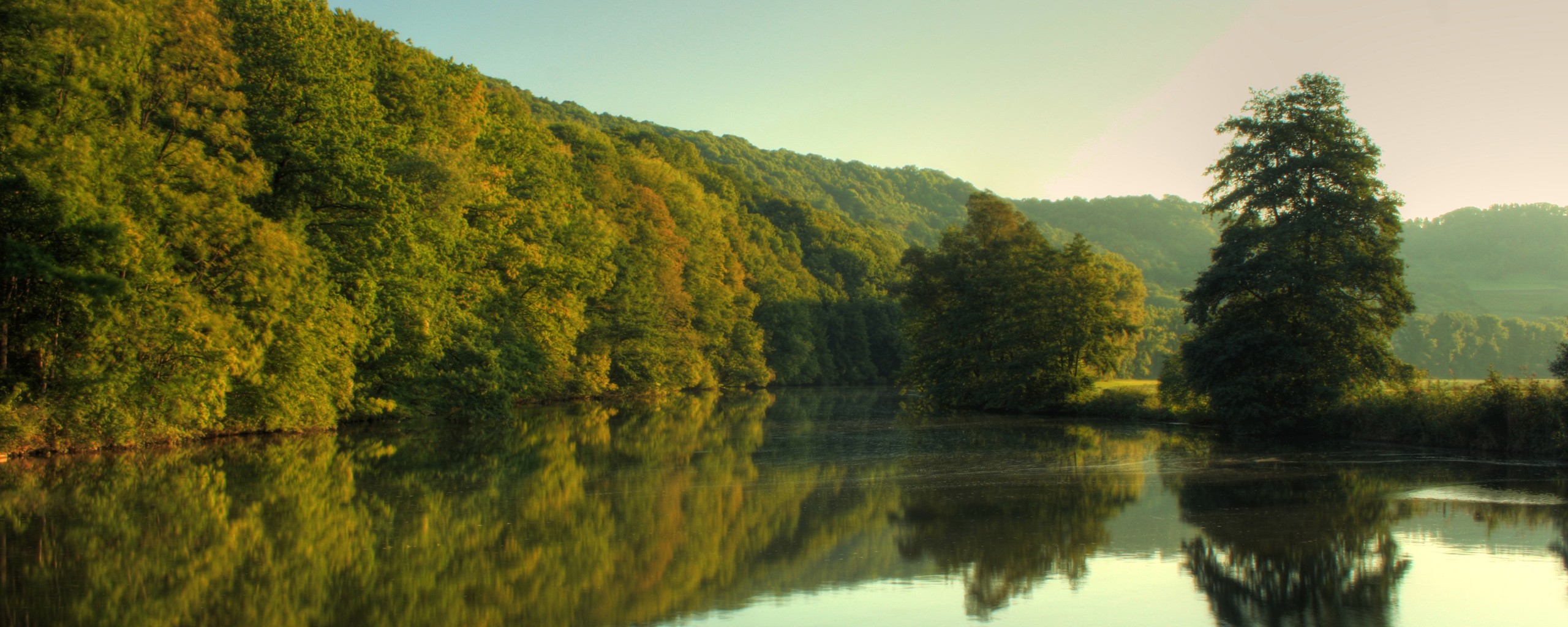 fiume foresta alberi