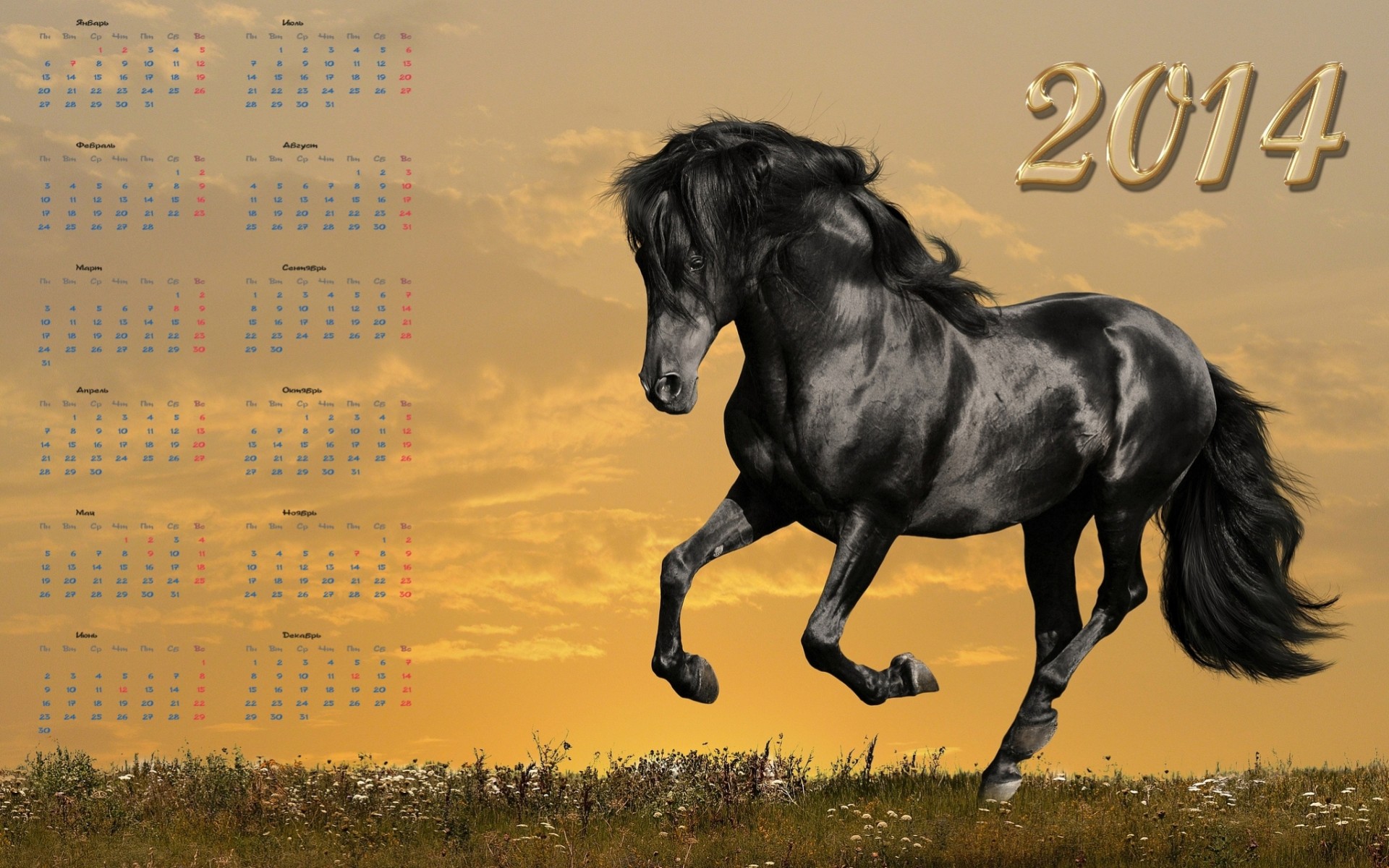 cheval 2014 calendrier