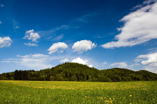 Primavera Carinzia Austria paesaggio