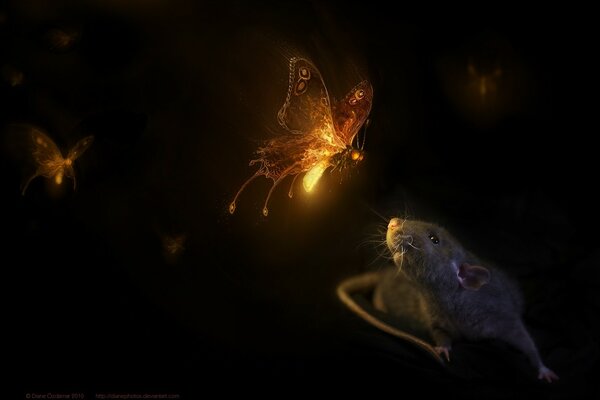 Mouse and glowing butterflies on a black background