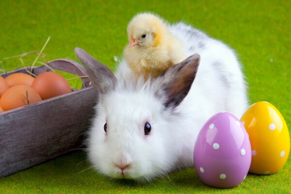 Lapin avec poussin. Lapin de Pâques