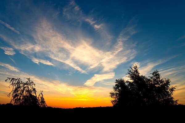 Gefiederte Wolken bei Sonnenuntergang in der Wildnis