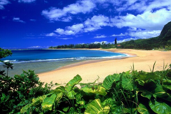 Playa paradisíaca para descansar y nadar