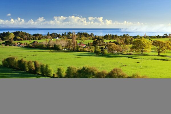 Mar azul con vistas a la hierba verde con hermosos árboles