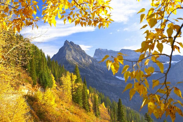 Otoño dorado en el fondo de las montañas del Cáucaso