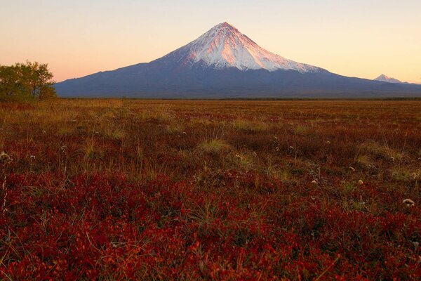 Vulcano in Kamchatka, con vista sul campo