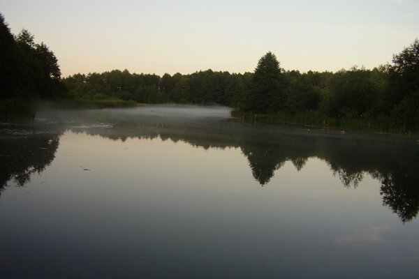 Die Wasseroberfläche des morgendlichen Waldes