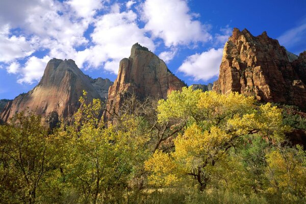 Parc National de Zion et nuages extraordinaires