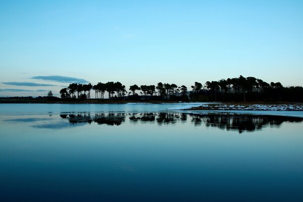 Los árboles de la isla se reflejan en el agua