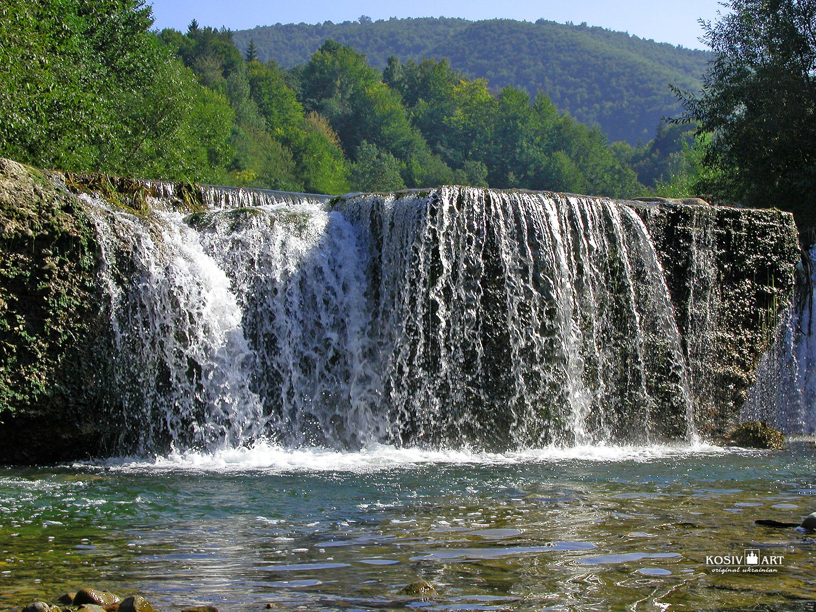 bosque cascada árboles