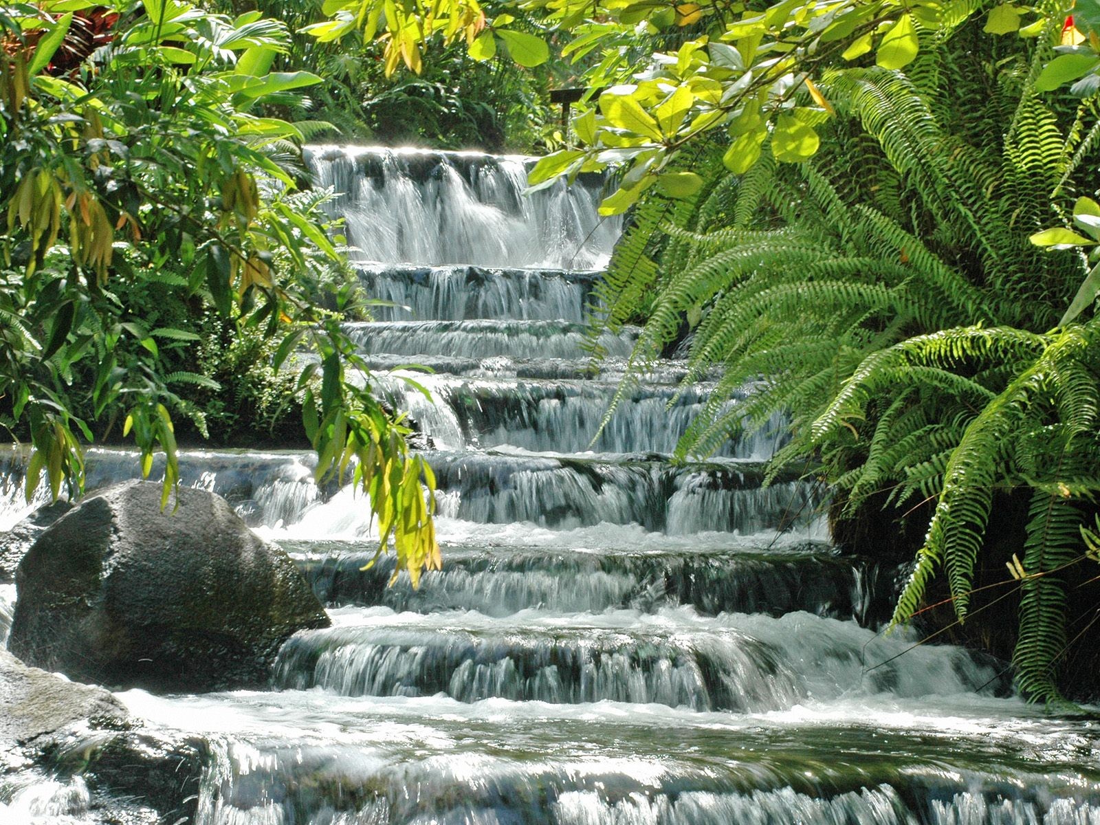 каскад водопад зелень