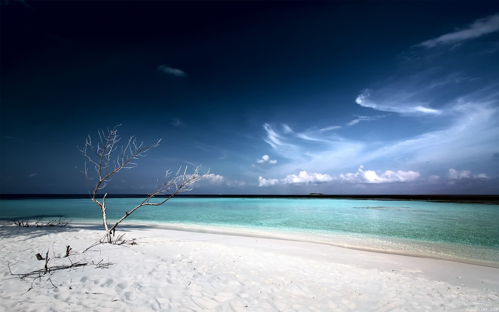 arena blanca playa laguna árbol