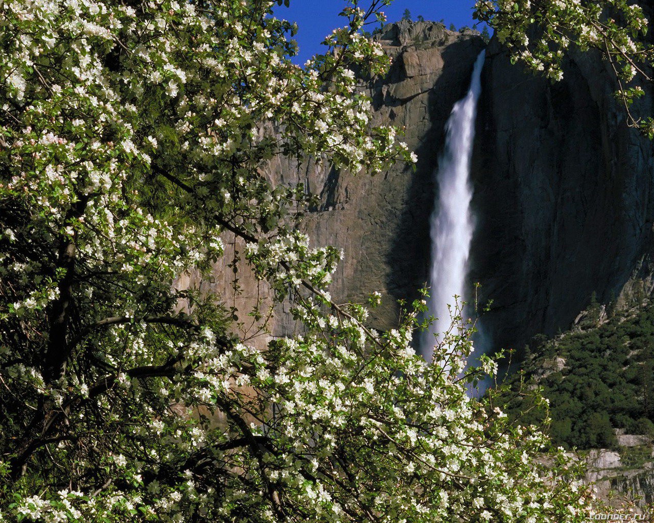 cascata flusso fioritura