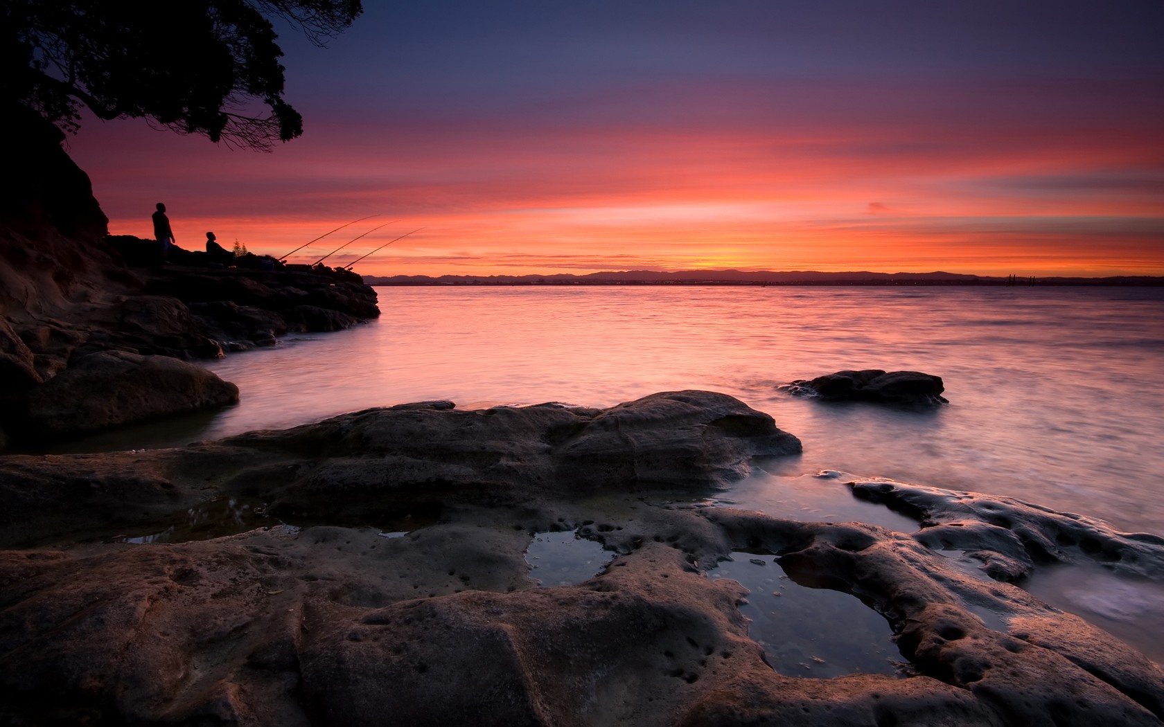 coyle park point chevalier auckland new zealand