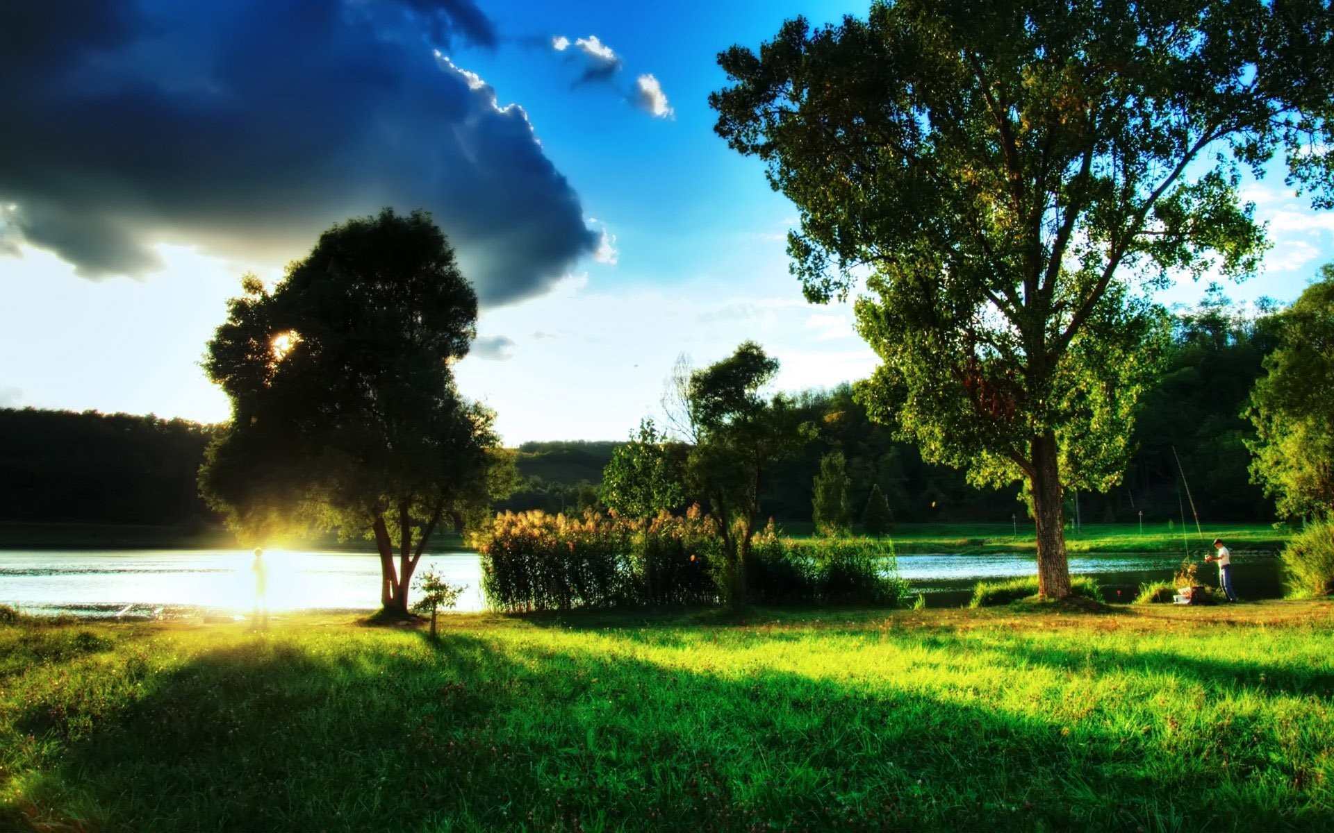 lago erba albero sera