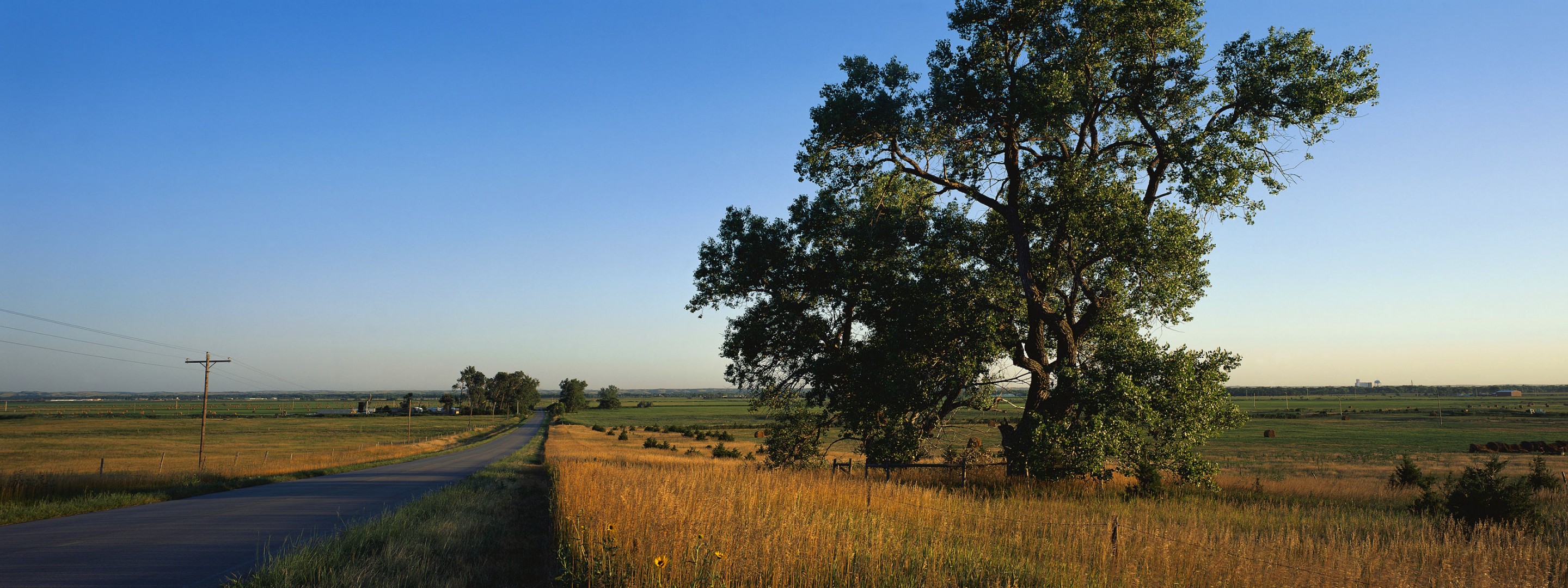 straße feld baum landschaft